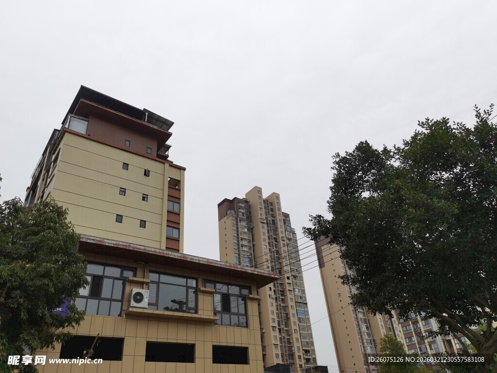 城市中错落的高楼与树木