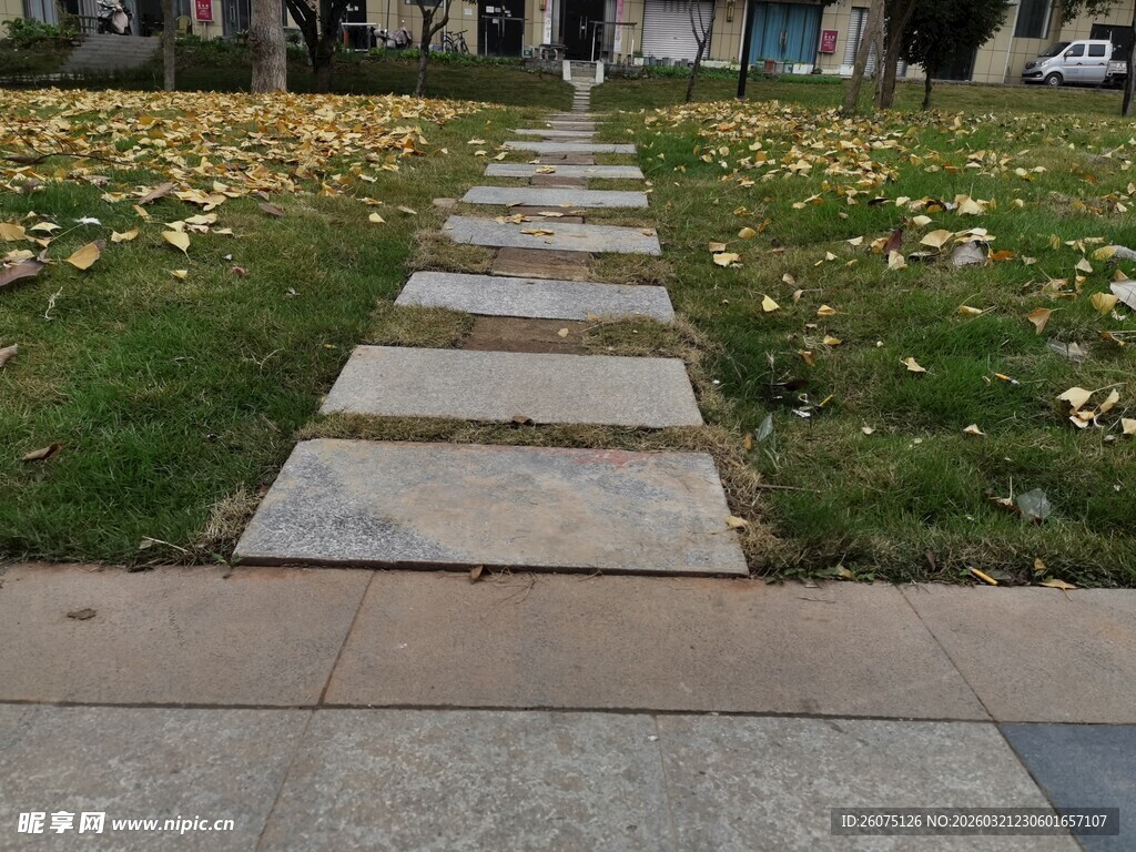 石板小径秋景中的静谧之路