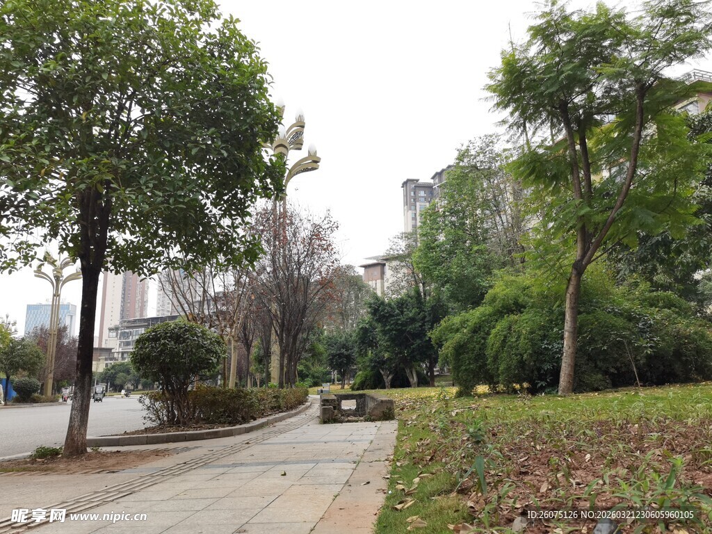 城市中静谧的林荫小道