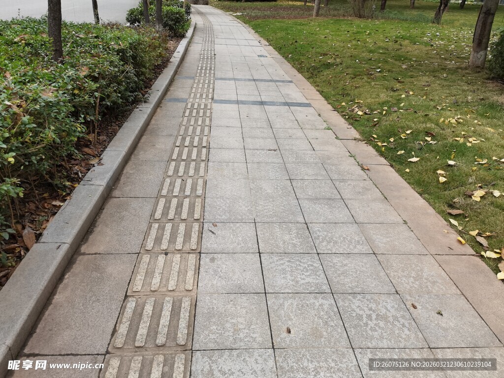 城市中整洁的石板人行道
