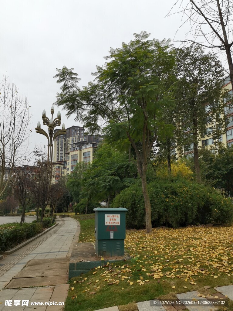 秋日公园小径景致