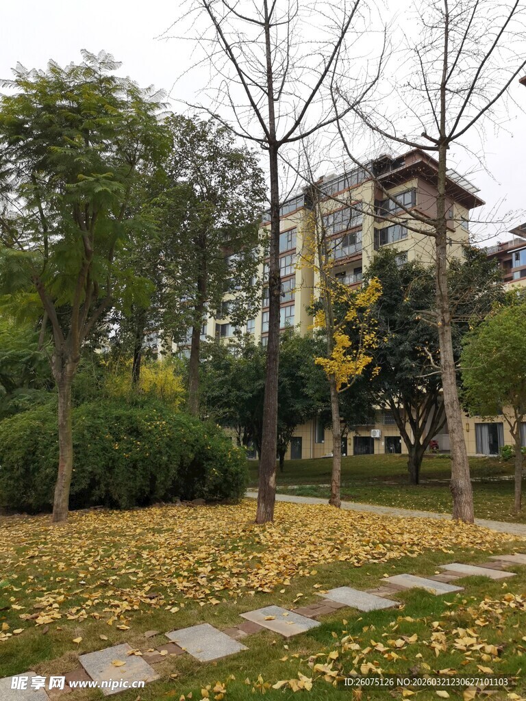 秋日公园落叶与建筑景致