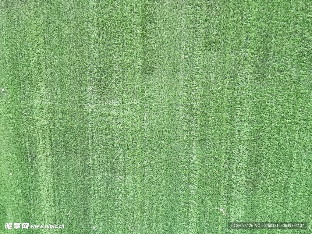 绿色织物纹理特写