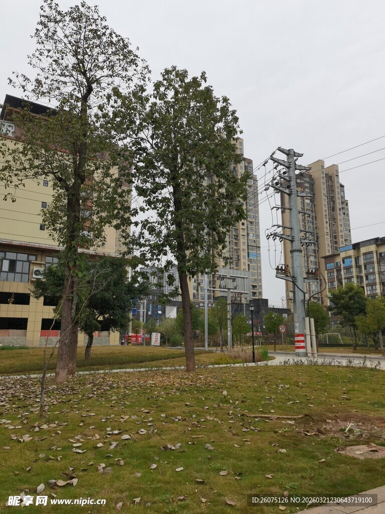 城郊开阔地旁的树木与建筑