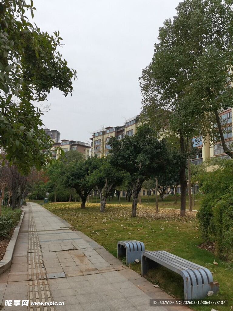 公园小径与长椅景观