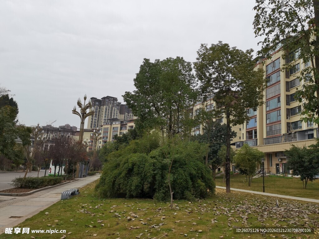 小区绿化景观一角