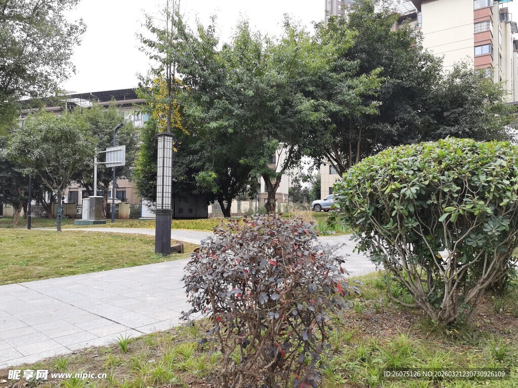 城市中的绿植景观