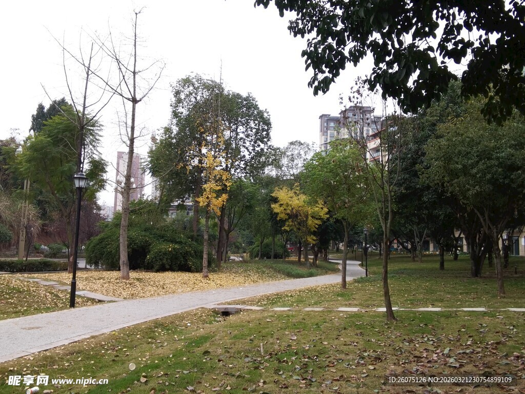 秋日公园静谧景致