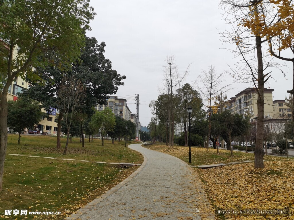 秋日公园小径风景