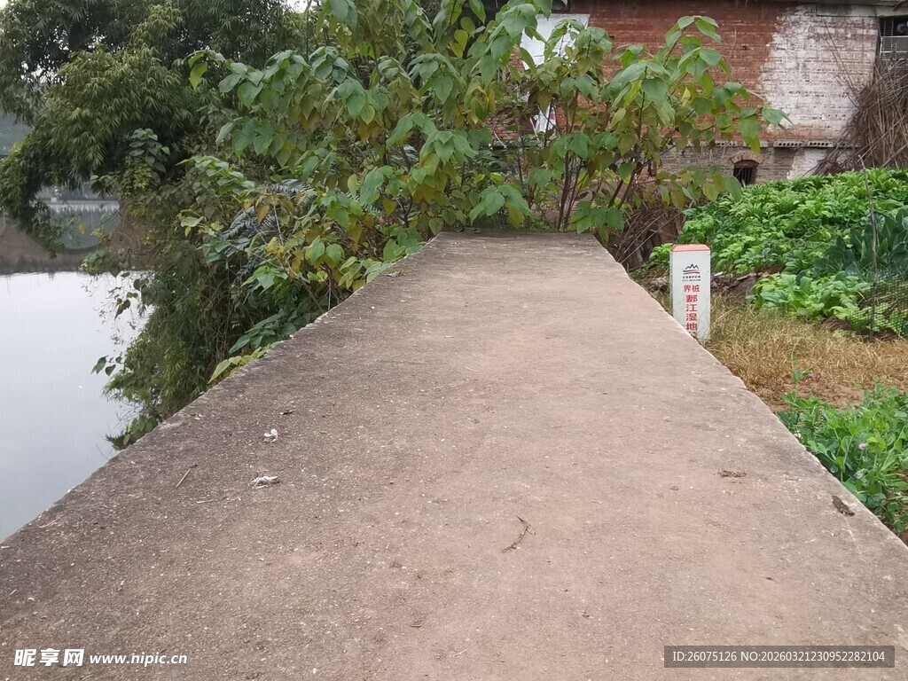 乡间临水的水泥小道