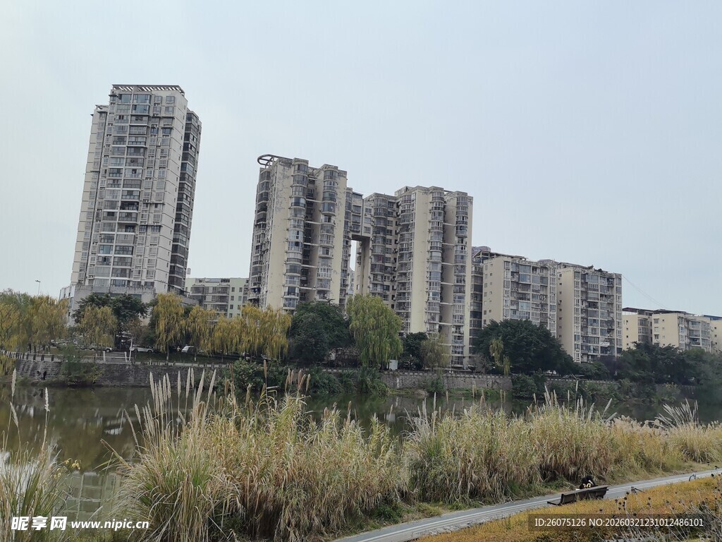 城郊住宅区旁的野生草丛