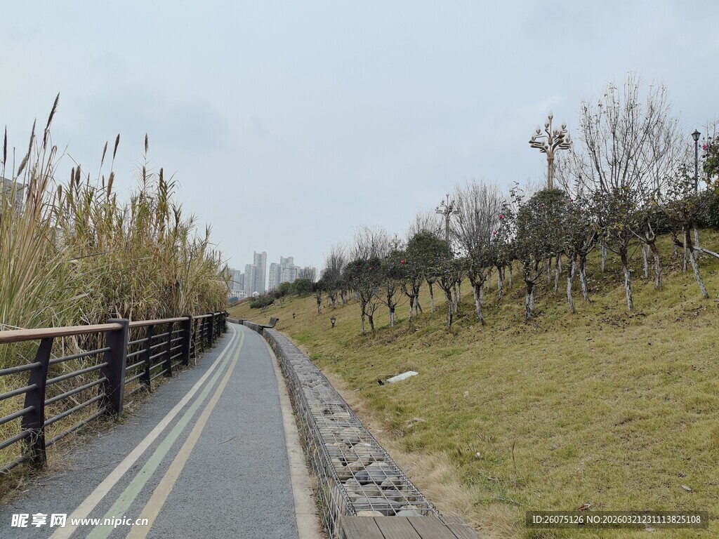 乡村公路旁的自然景致