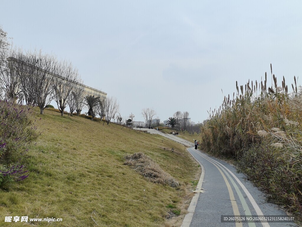 蜿蜒小路旁的草地与树木