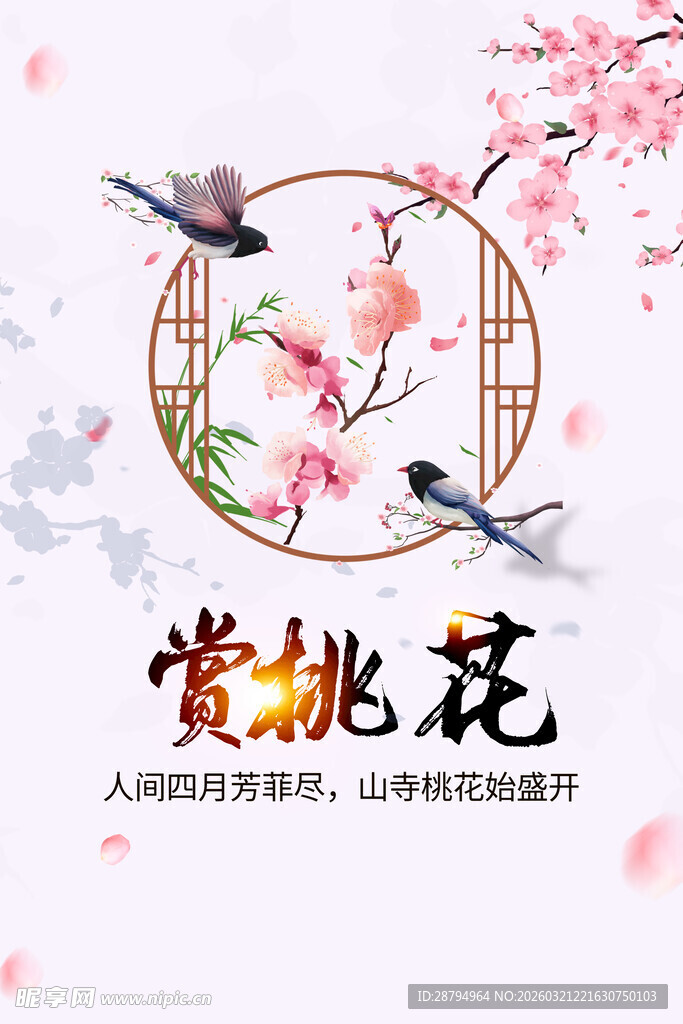 赏桃花美景享春日雅趣