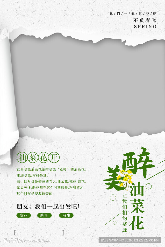 唯美碎纸风油菜花海报