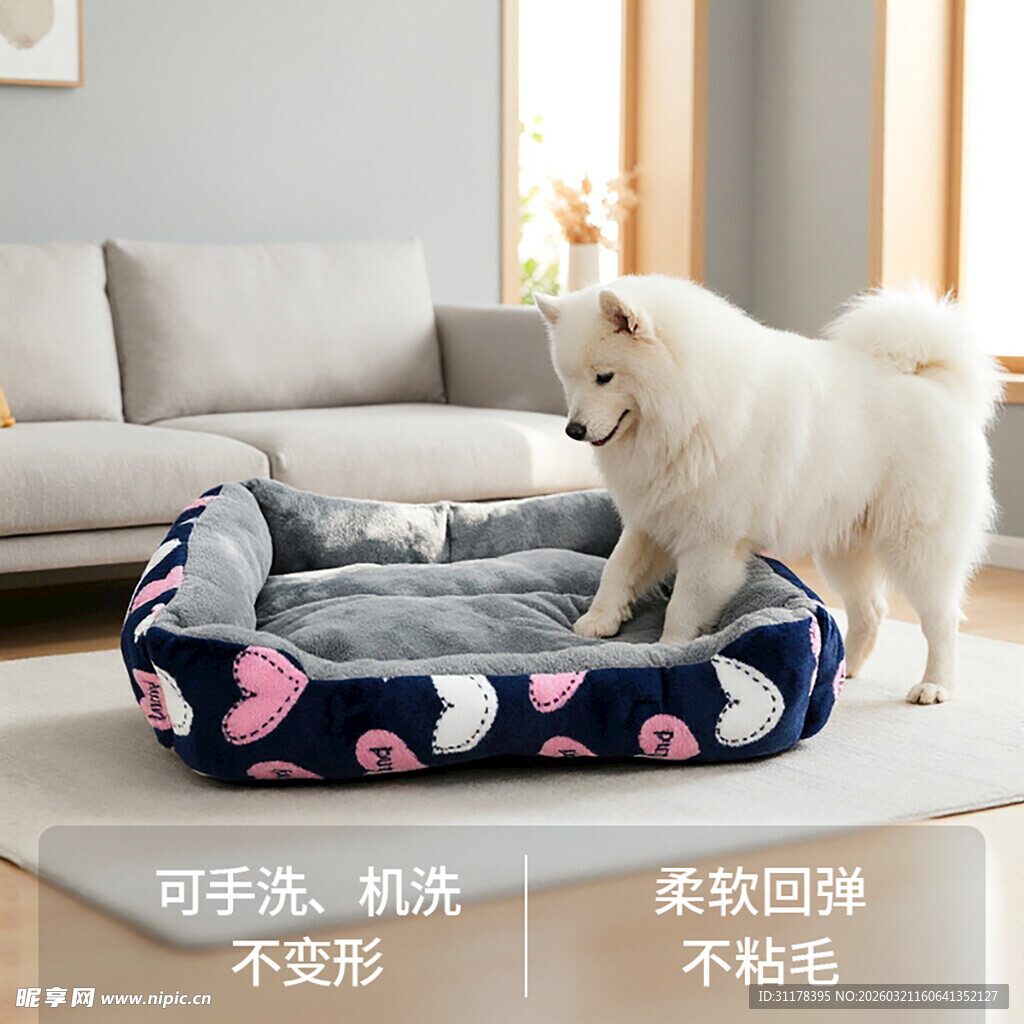 可爱萨摩耶躺舒适狗窝