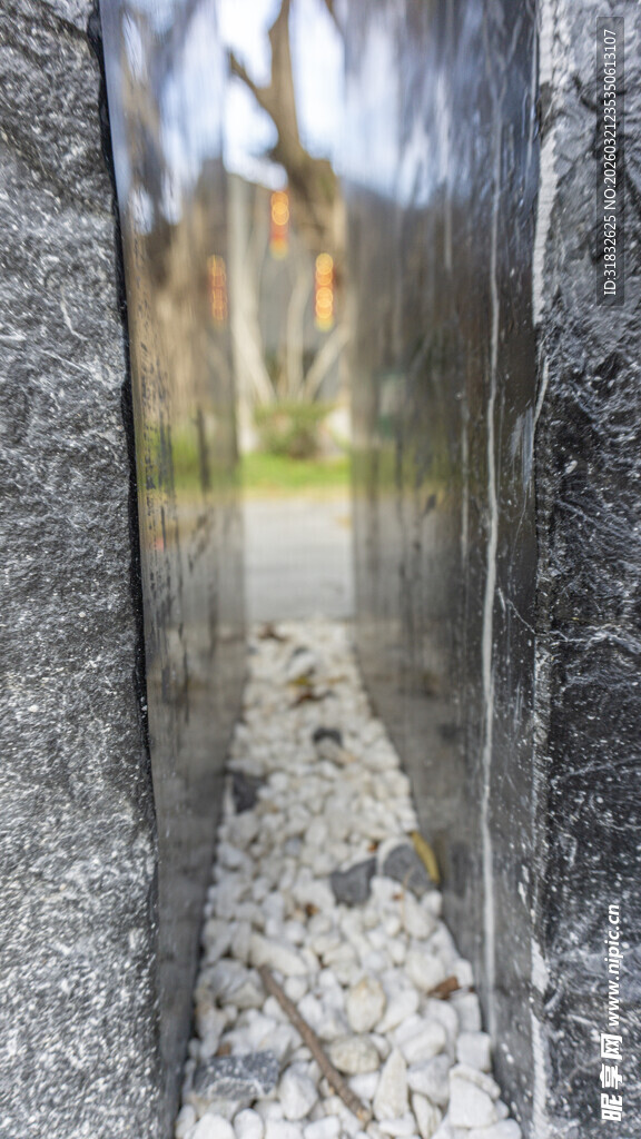 石缝间的盎然生机