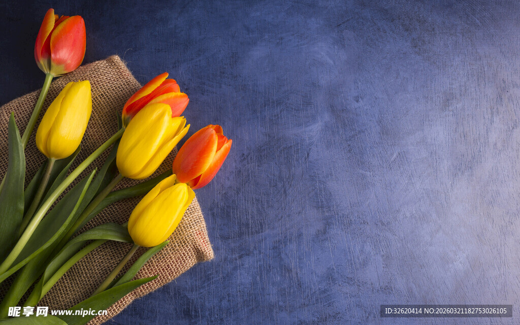 多彩郁金香花束