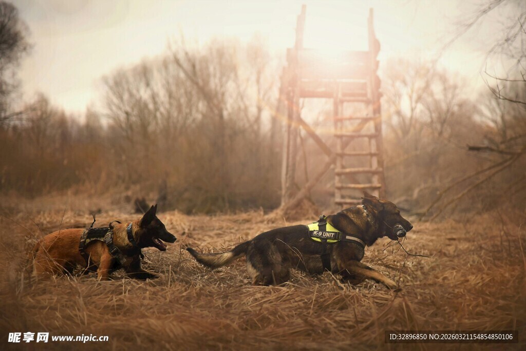 野外救援行动中的救援人员
