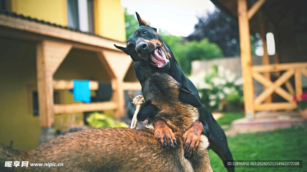 小孩骑恐龙玩具于户外