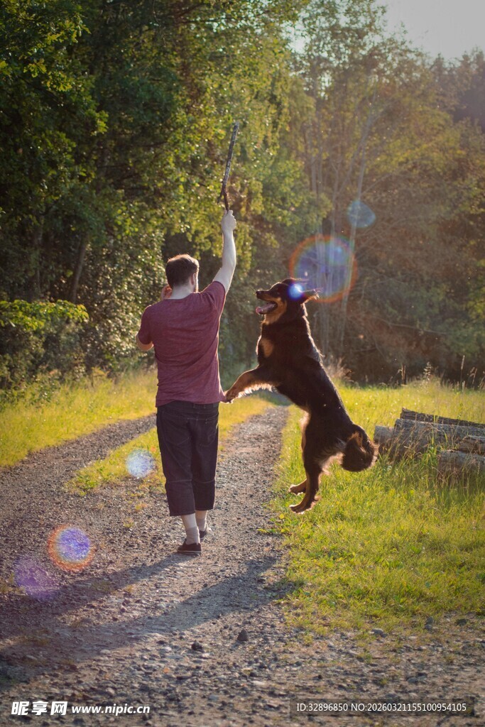 人与狗在林间快乐嬉戏