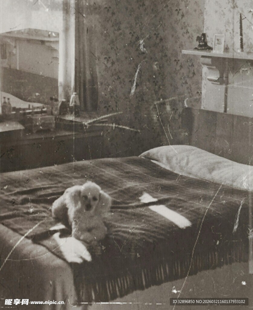 复古卧室中的猫咪