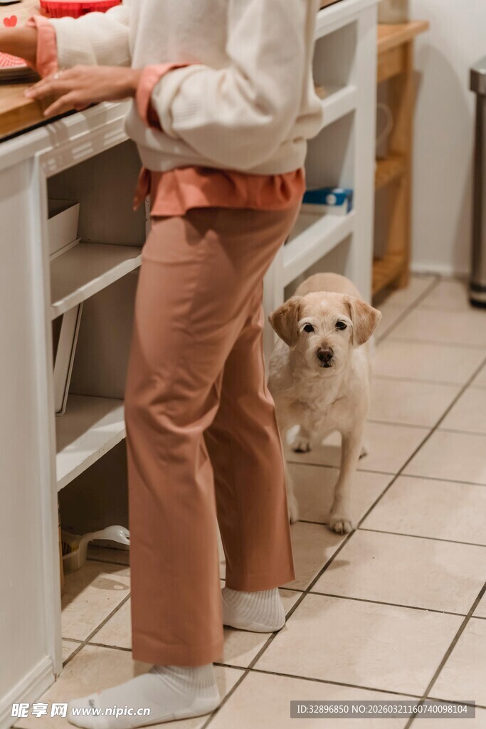 小孩厨房旁与小狗相伴