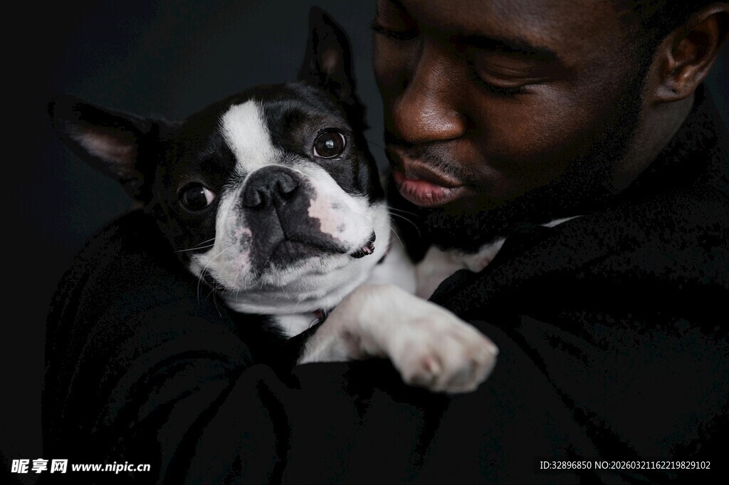 男子怀抱可爱波士顿梗犬