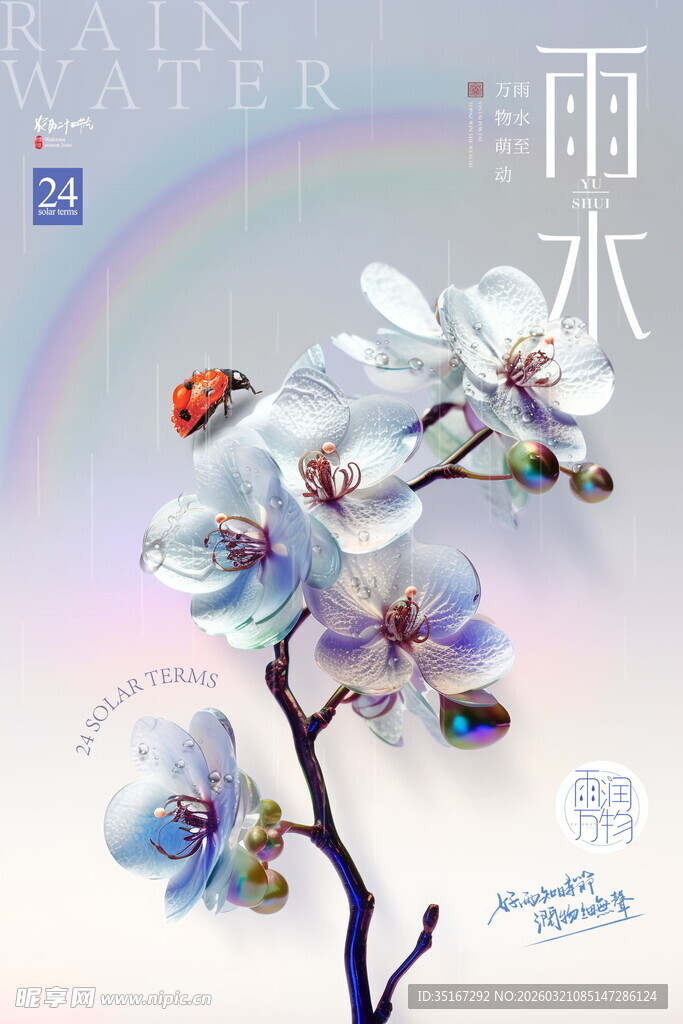 雨水中绽放的玉兰花