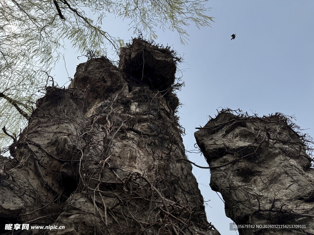 奇特嶙峋的自然岩石景观