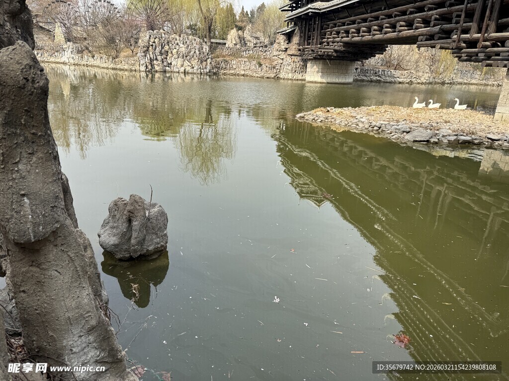 湖畔石桥下的静谧水域
