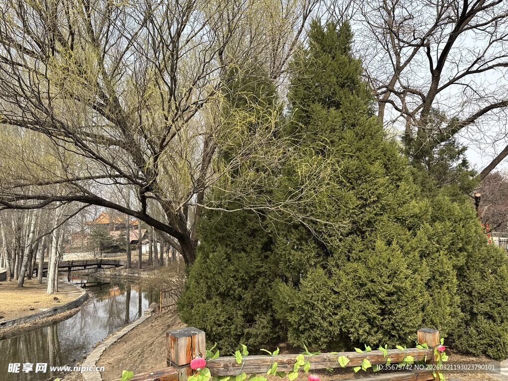 冬日园林景观一角