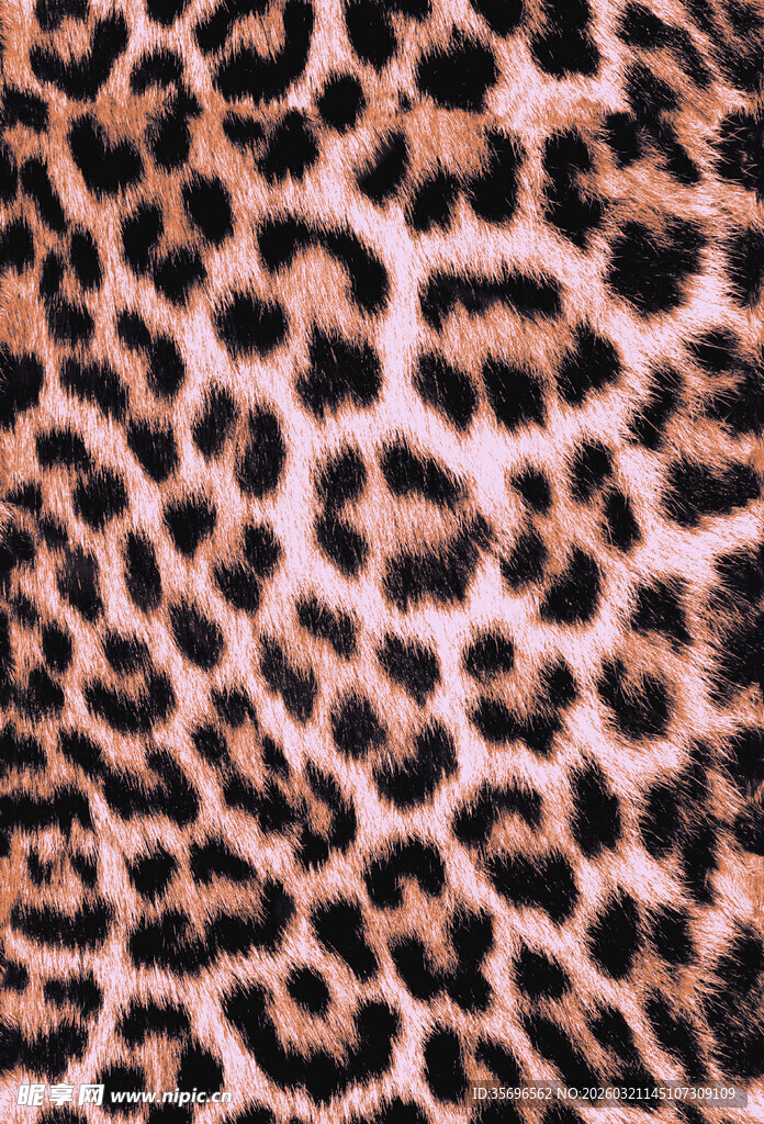 豹纹图案纹理特写
