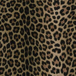 豹纹图案布料纹理