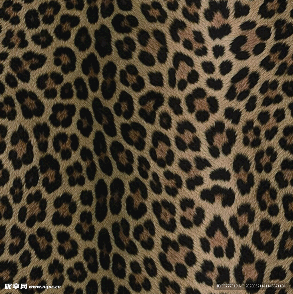 豹纹图案布料纹理