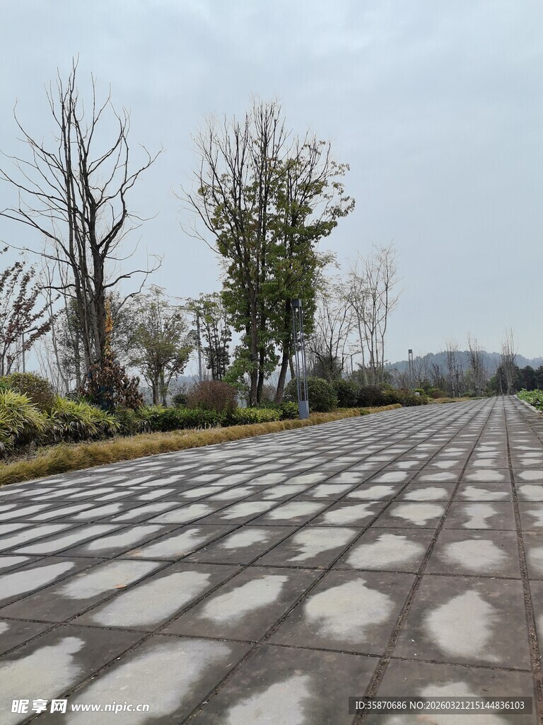 空旷石板路冬日景致