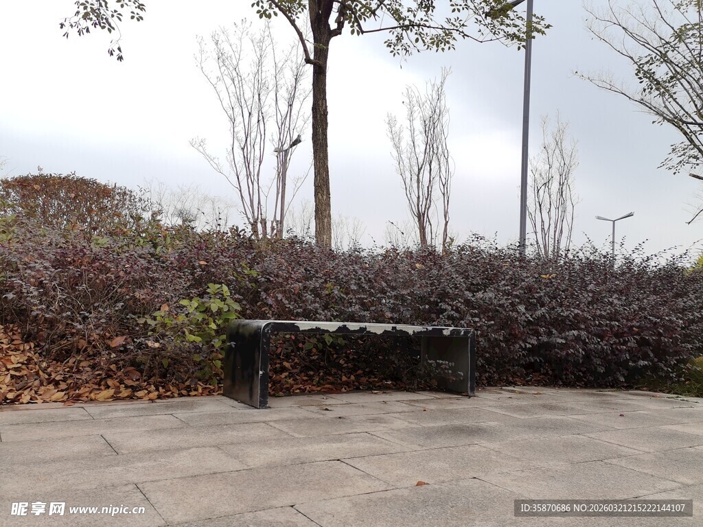 户外空长椅静谧自然景