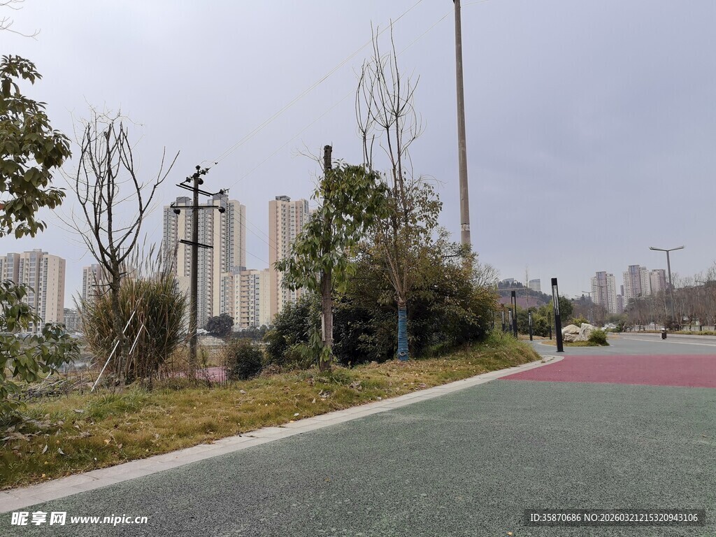 城市道路旁的绿化景观