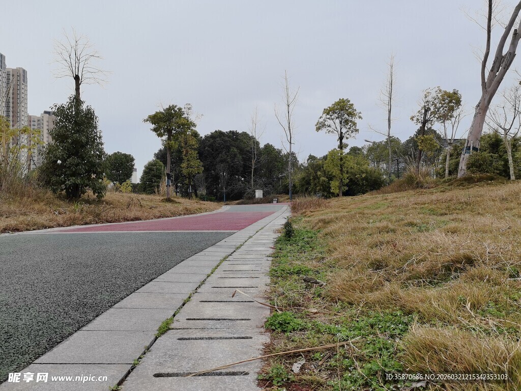 城郊空旷道路旁的稀疏草木