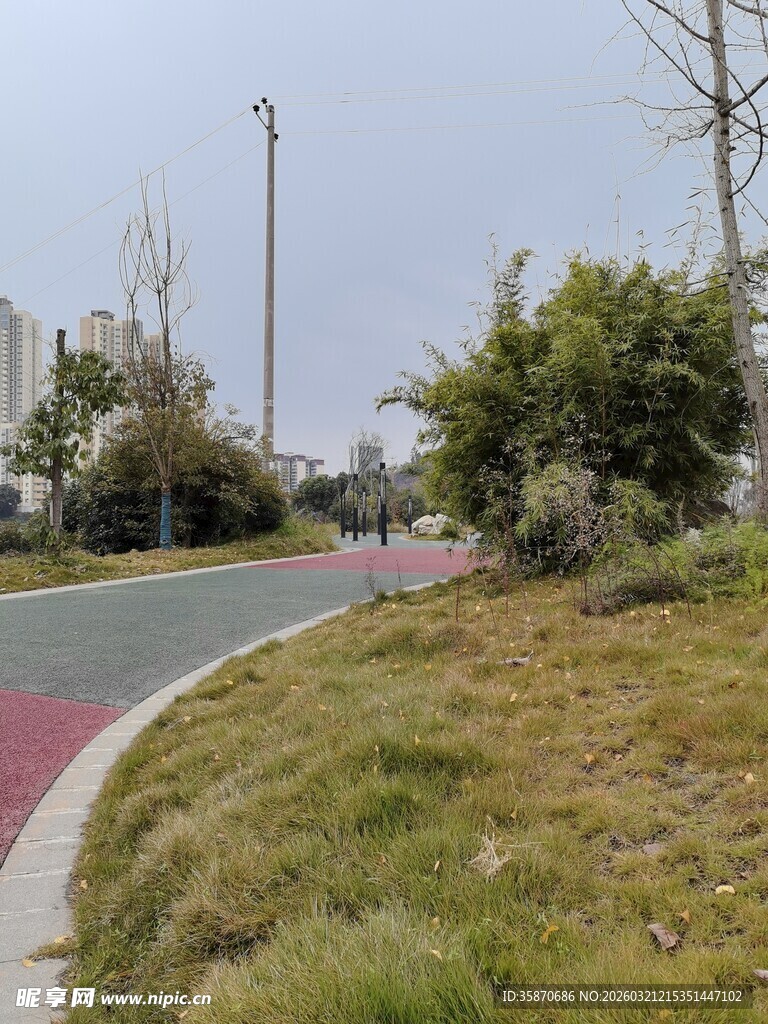 城郊蜿蜒道路旁绿植景观