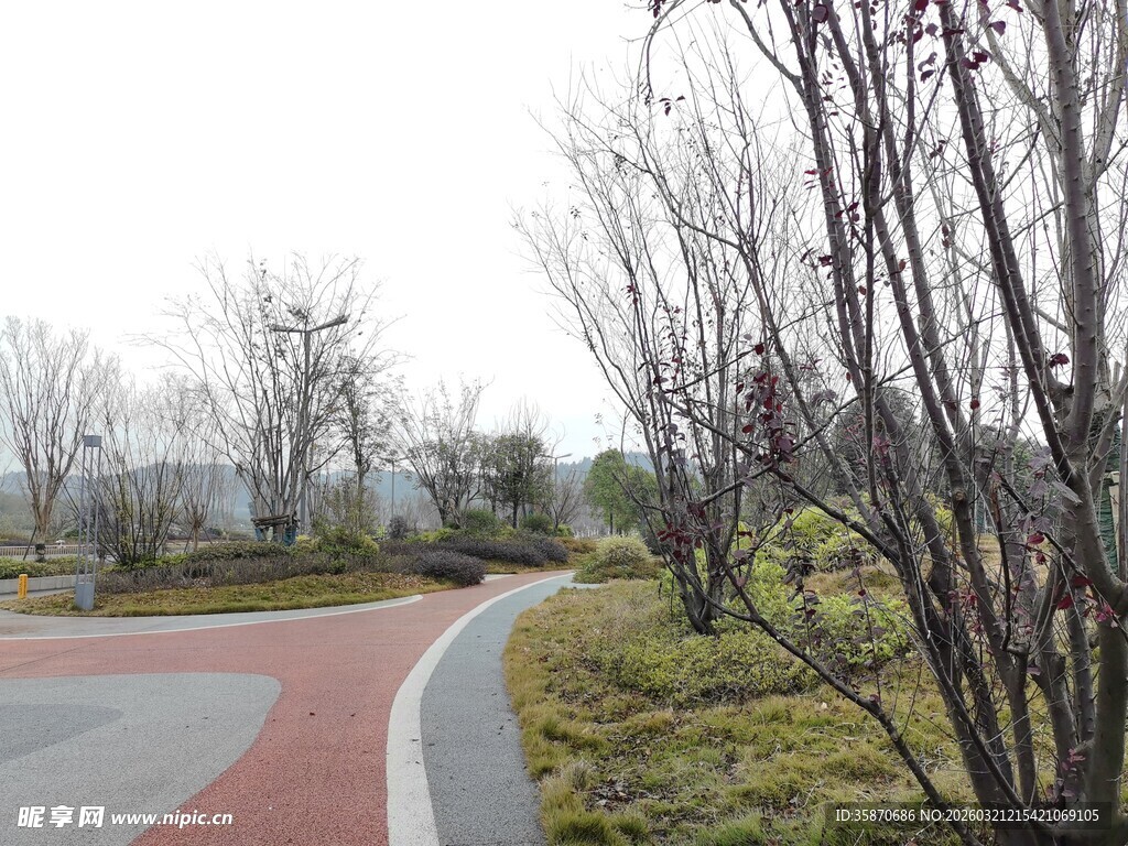 公园蜿蜒小径冬日景致