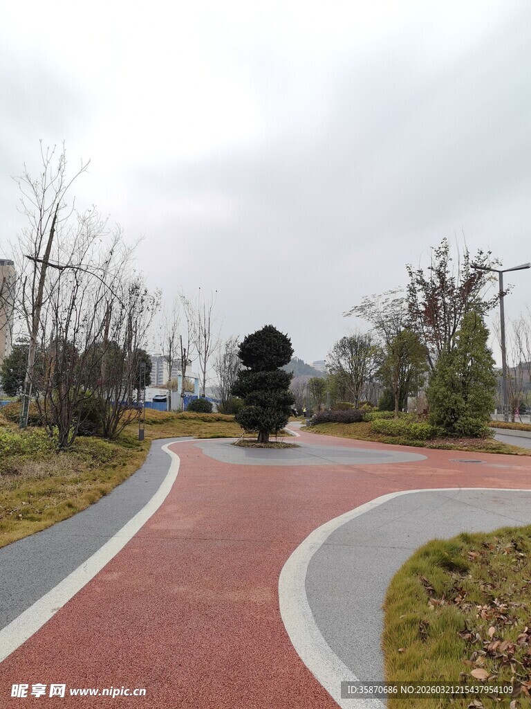 蜿蜒彩道旁的别致景观