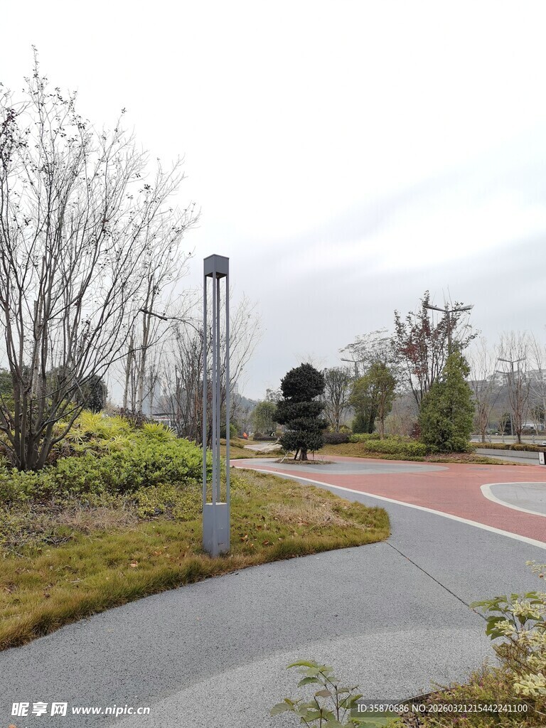 城市公园中的蜿蜒步道