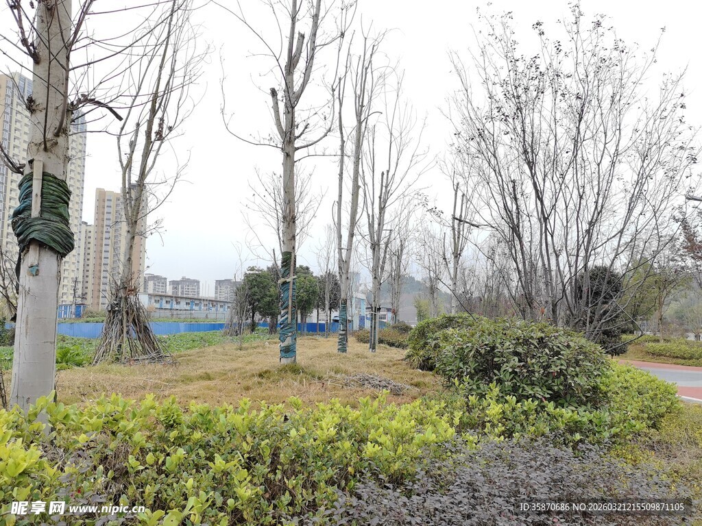 城郊公园冬日静谧景色