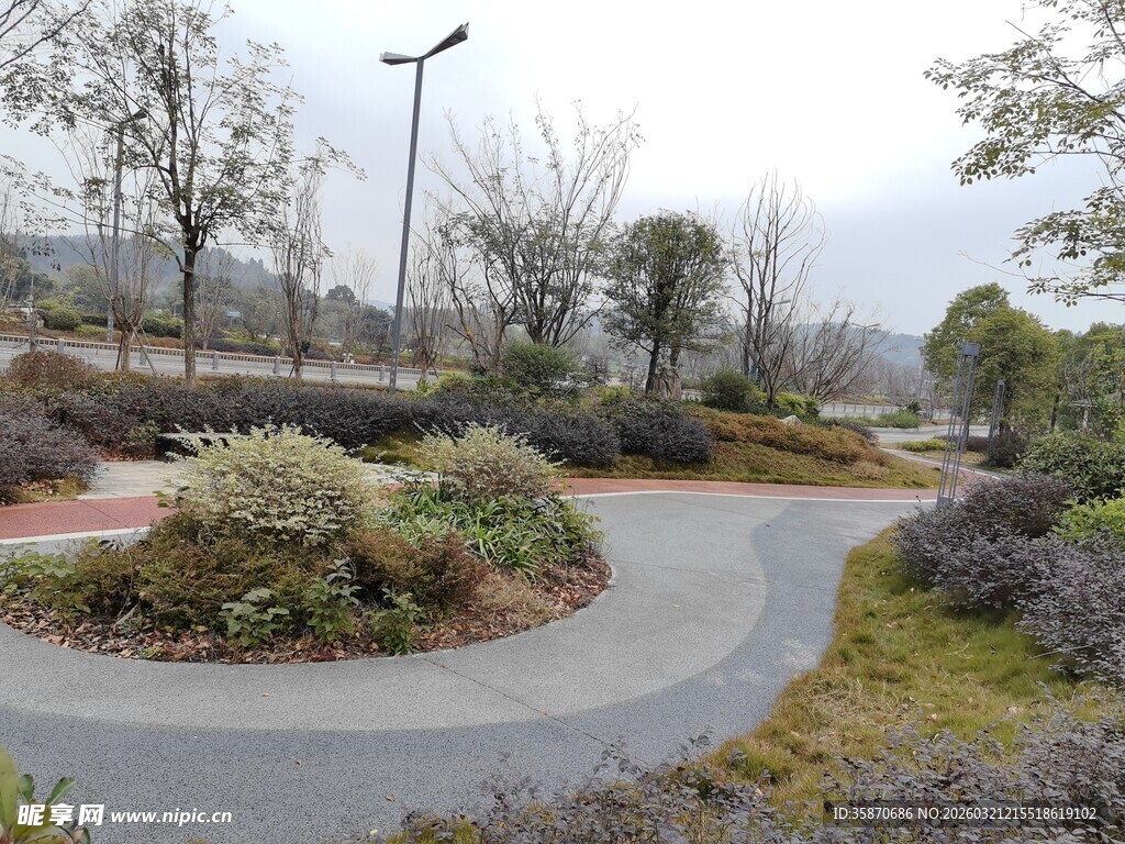 公园蜿蜒小径与绿植景观