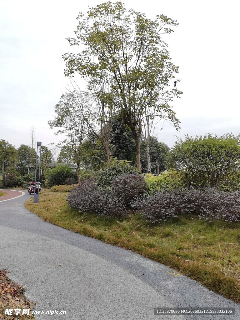 蜿蜒小路旁的自然景致