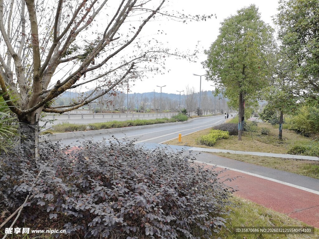 城郊静谧小路旁绿植景观