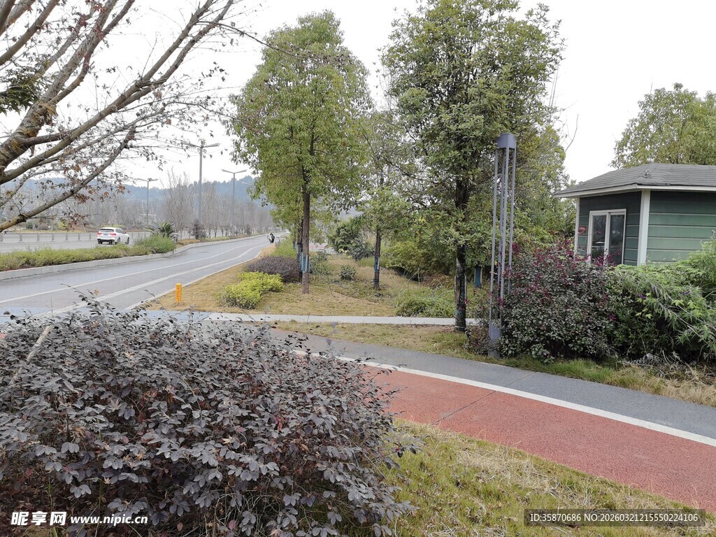 城郊清新宁静的道路景观