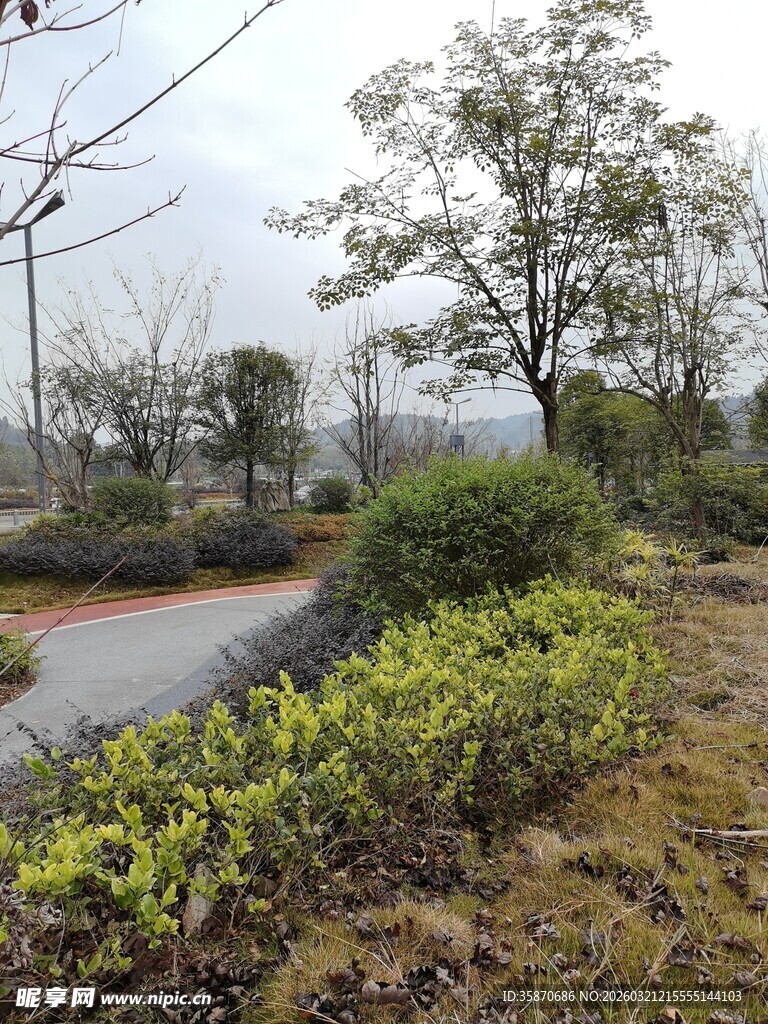 山间蜿蜒小路旁绿植茂盛