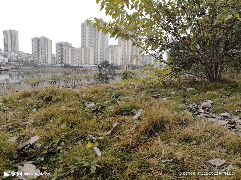 城市边的荒野草地景观